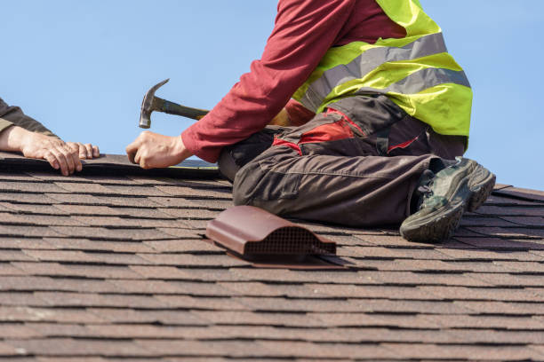 Best Roof Waterproofing Services  in Vley, AL